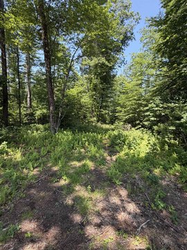 LAND - Amherst, NH