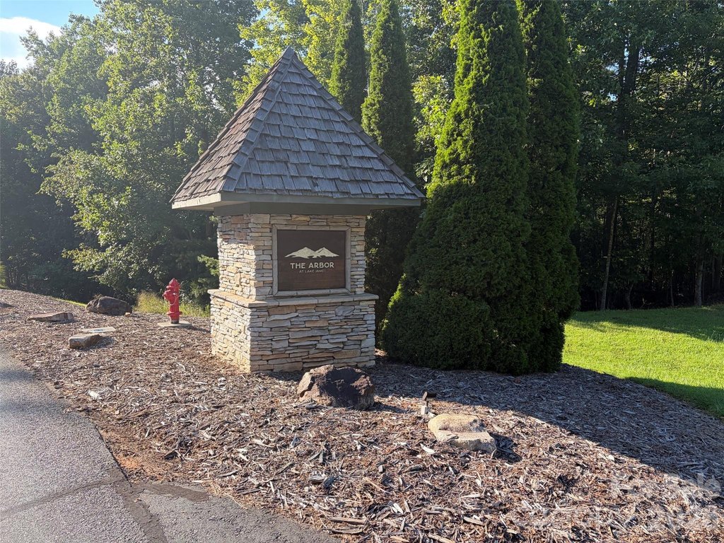 Picture 25