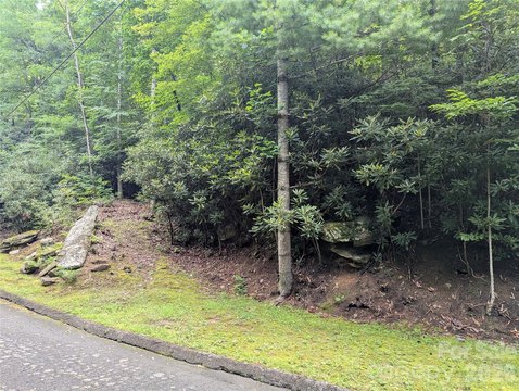 LAND - Montreat, NC
