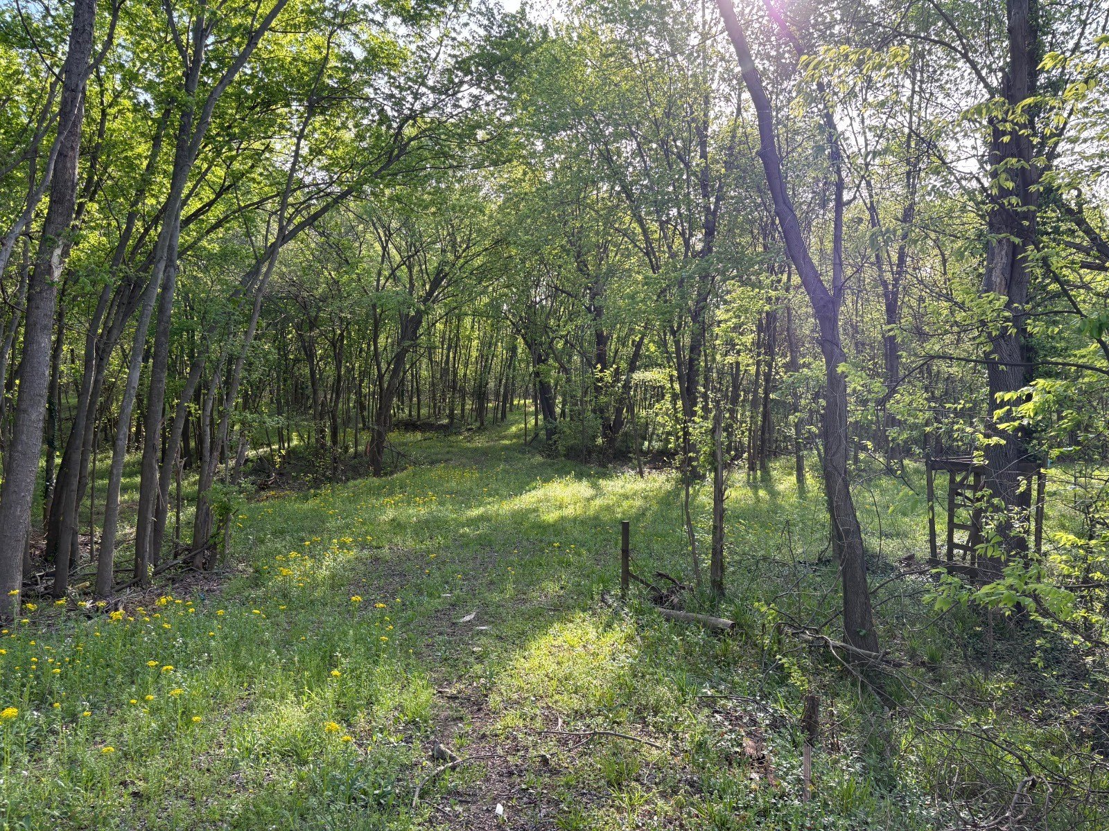 Tell City Vacant Hunting Land