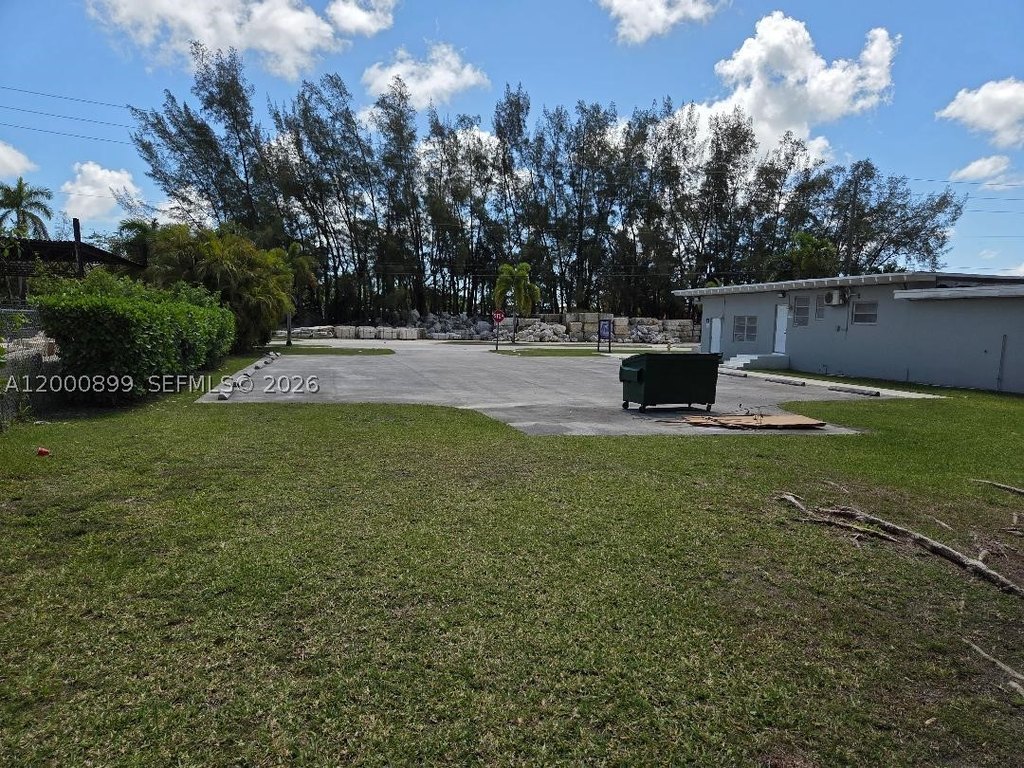 Picture 5