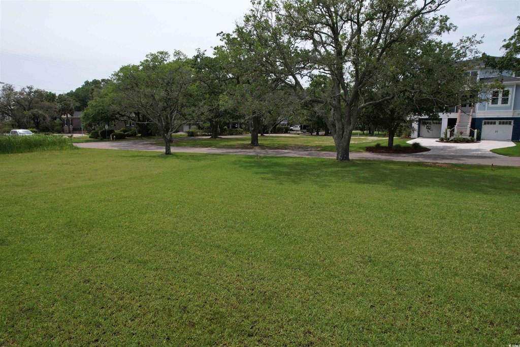 Picture 3