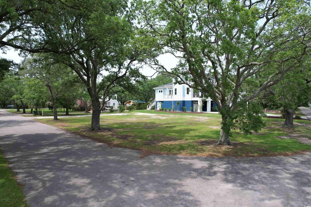 Picture 5