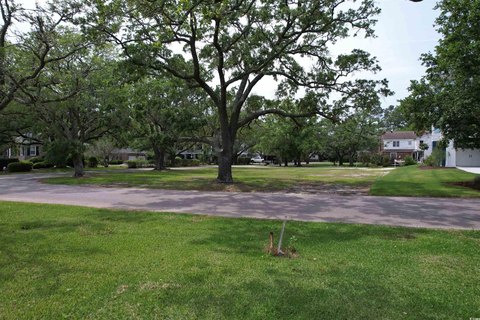 Residential Land in Georgetown, SC
