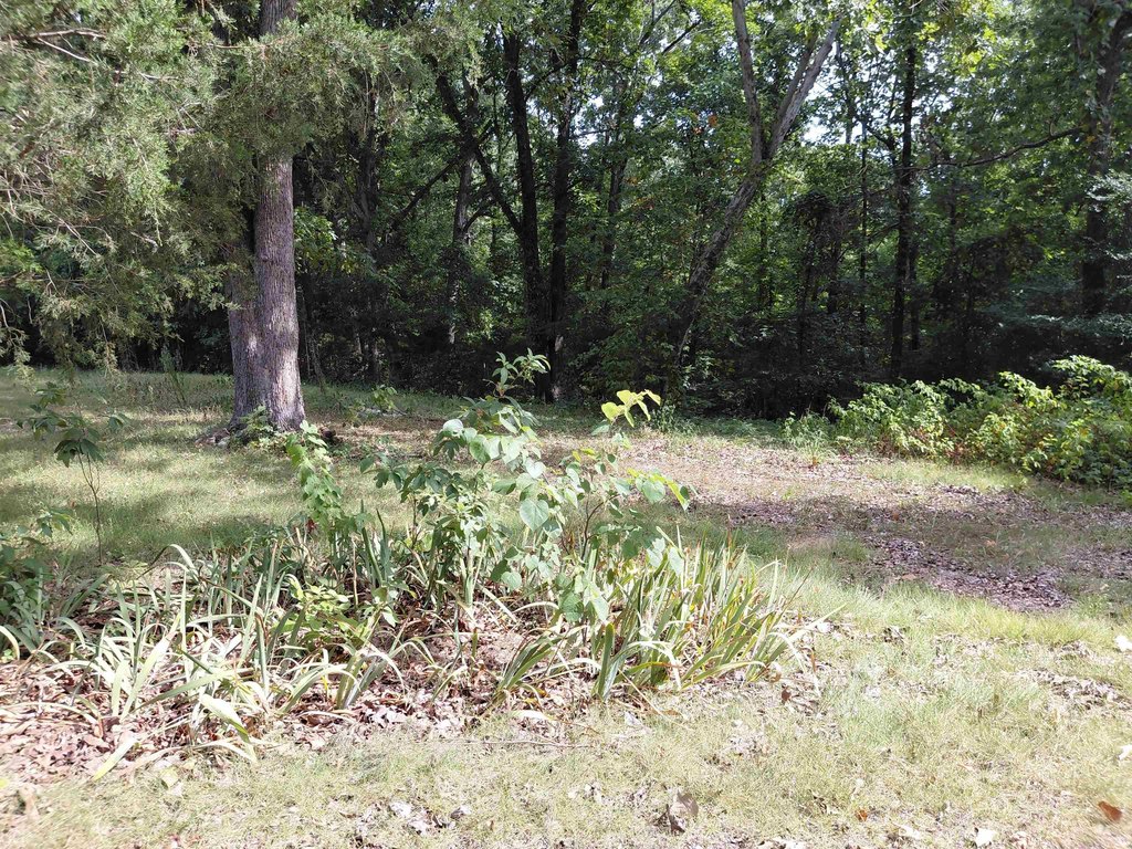 Picture 3