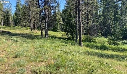 LAND - Meacham, OR