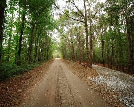 LAND, Iva, SC