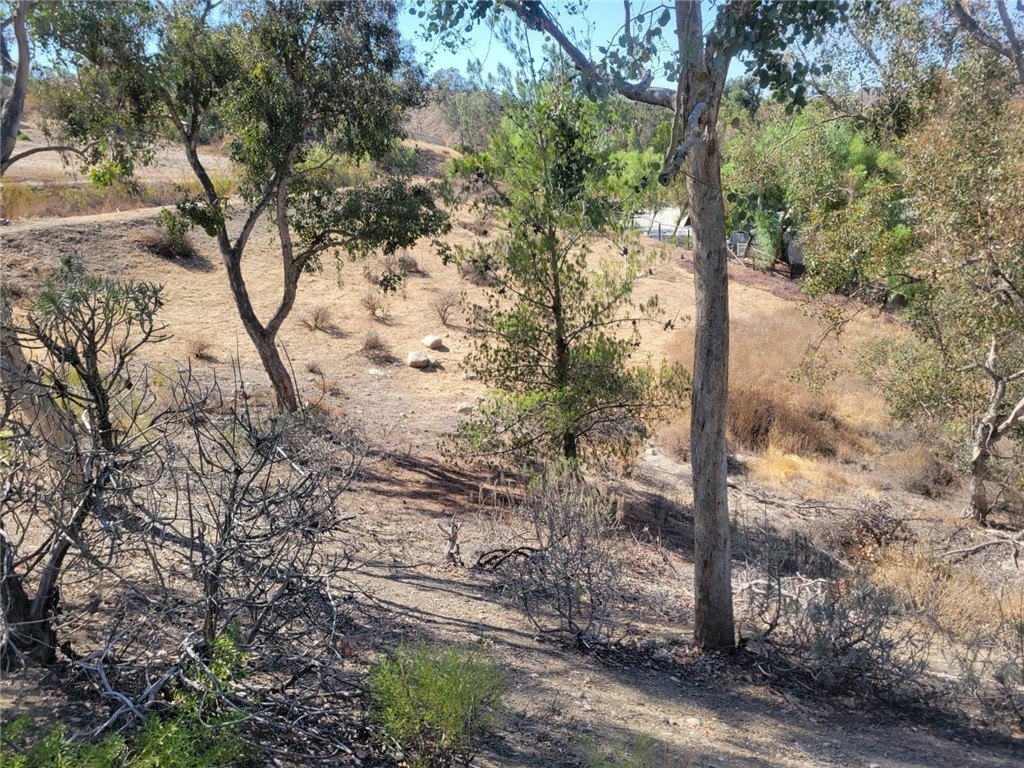 Picture 3