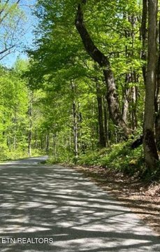 95+ Acres in Cookeville, TN