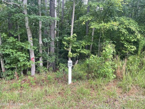 Land, North Augusta, SC