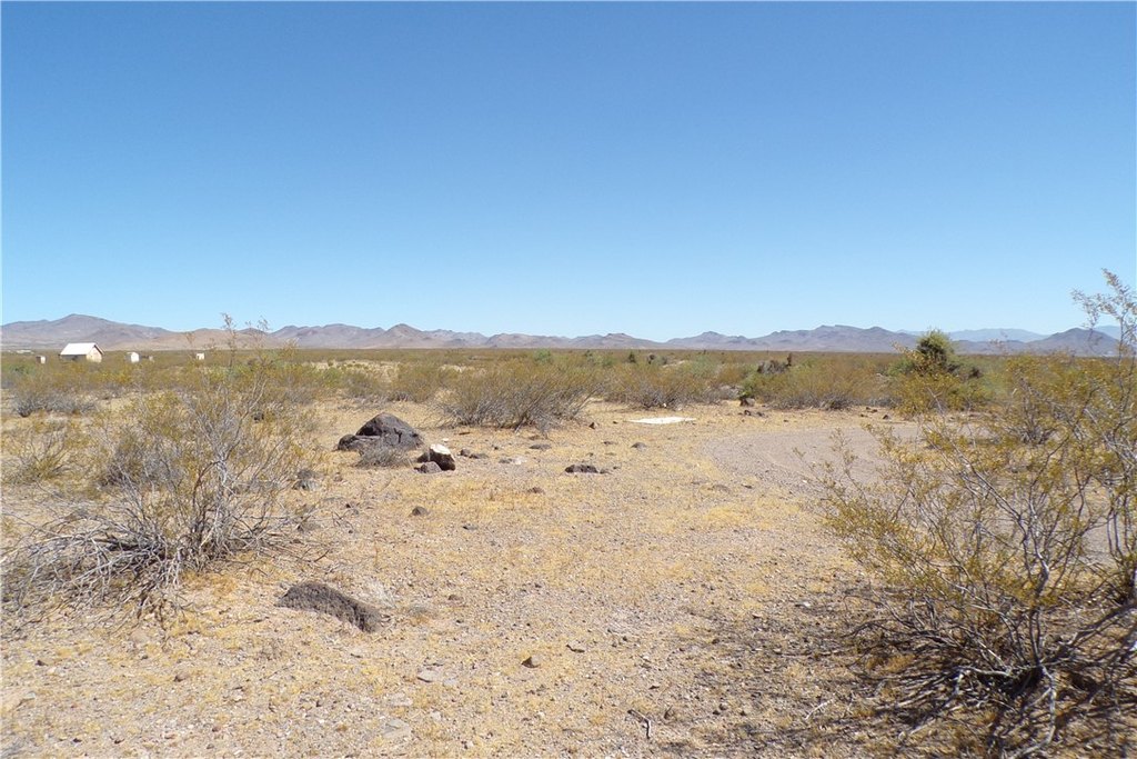 Picture 5