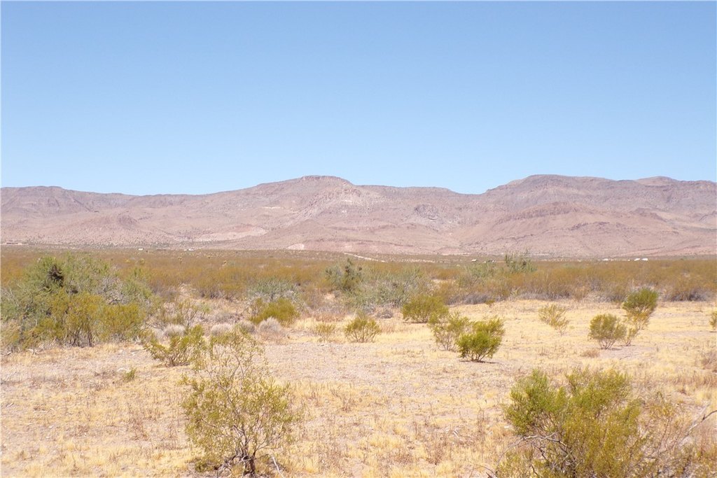 Picture 18
