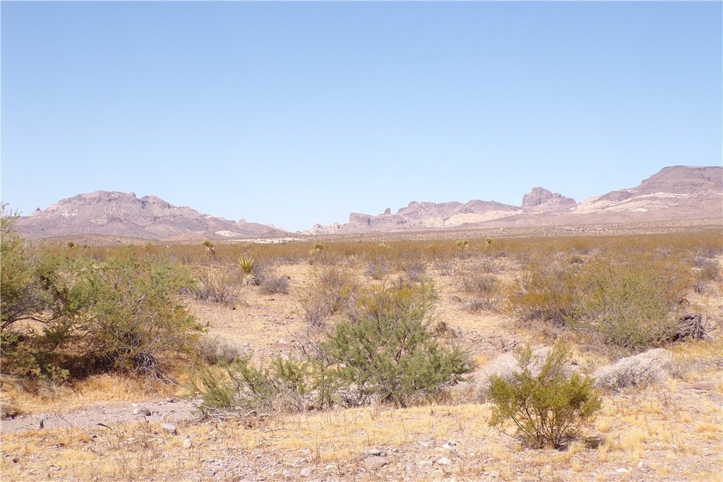 Picture 17