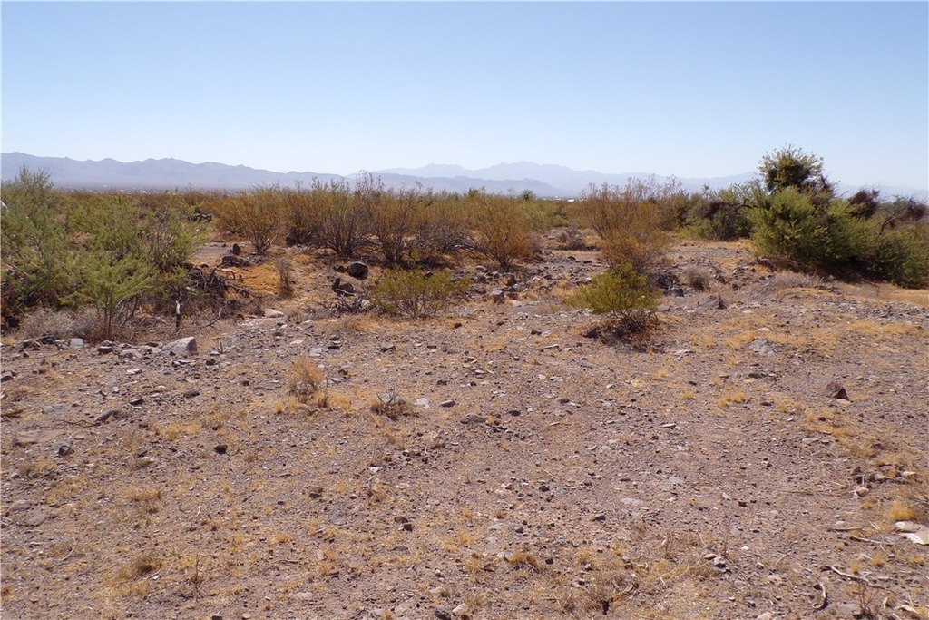 Picture 19