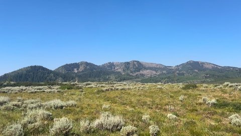LAND - Midway, UT