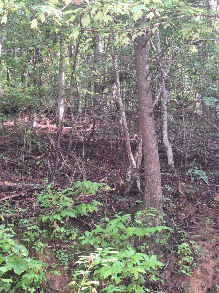 Suches, GA Vacant Lot
