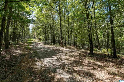 LAND/LOTS, HARPERSVILLE, AL