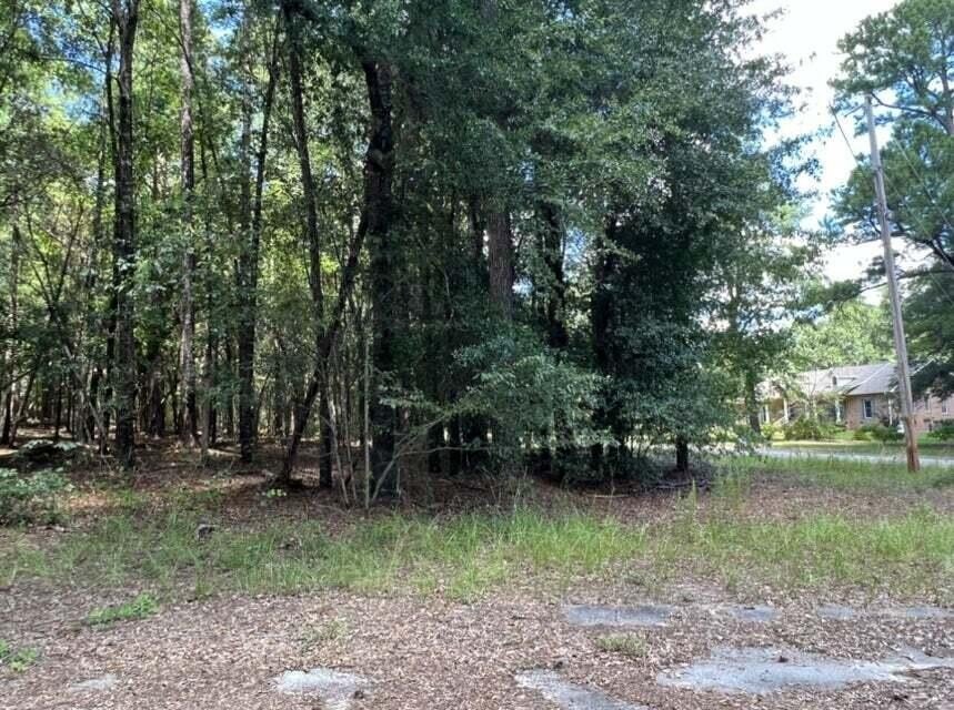 Wooded Building Lots in Williston
