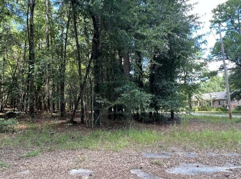 Residential Lot in Williston, SC