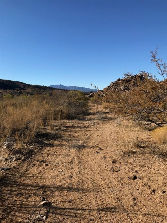 Picture 19