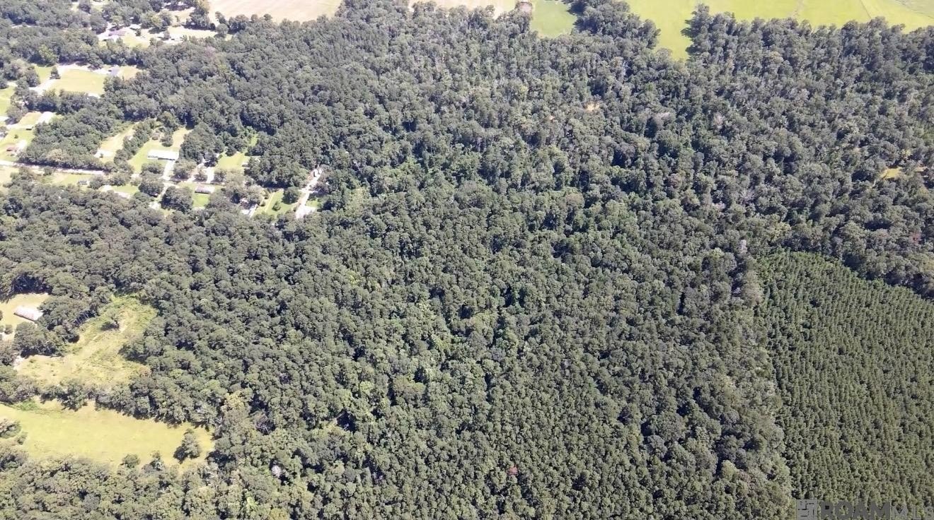 40 Acres of Rural Land