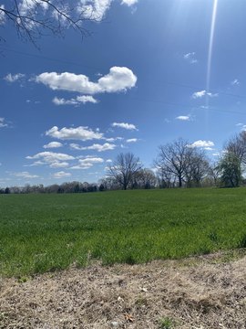 Prime Land Near Blue Oval