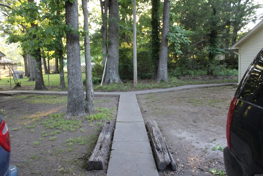 Picture 3