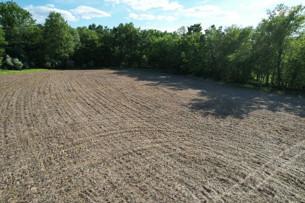 Picture 41