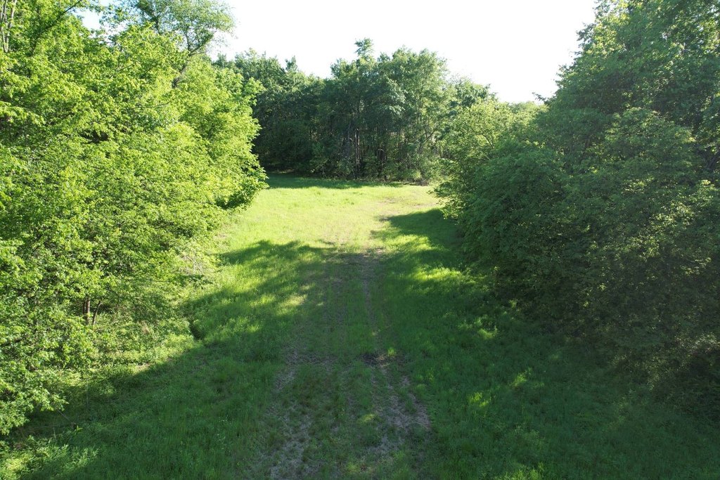 Picture 42