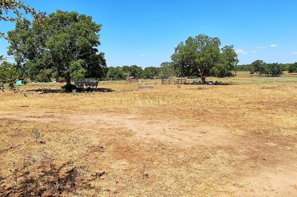 Picture 24