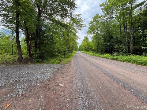 VACANT LAND, Toivola, MI