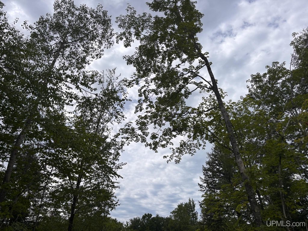 Picture 20