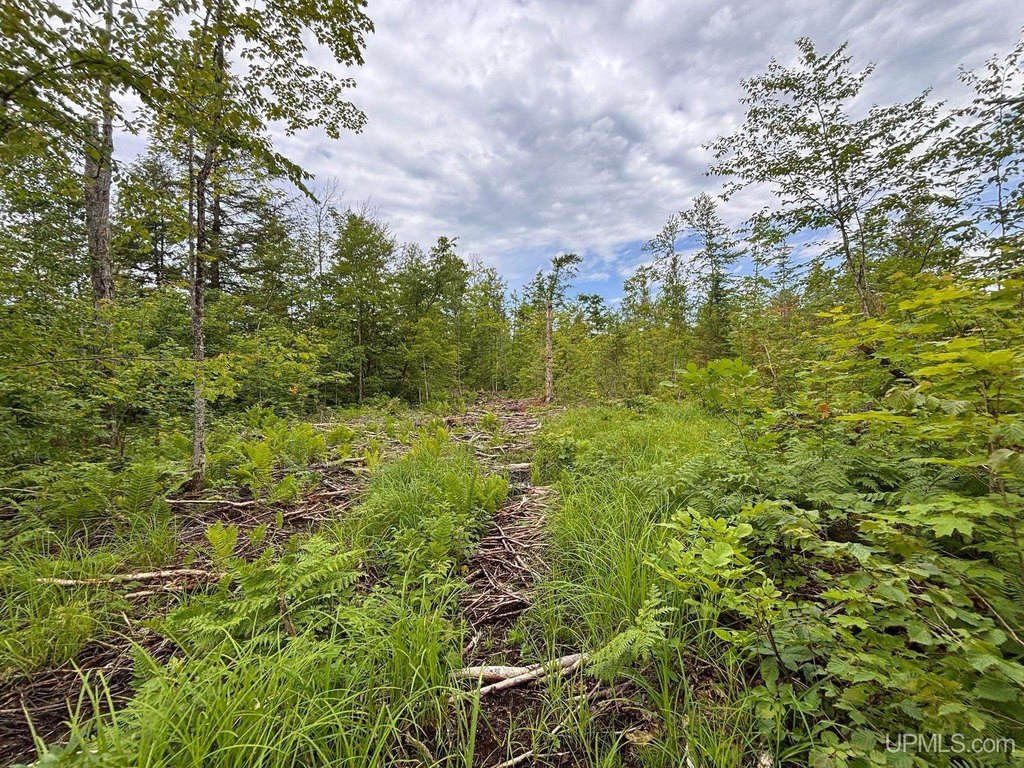Picture 24