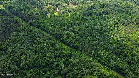 Undeveloped Land in Byhalia, MS