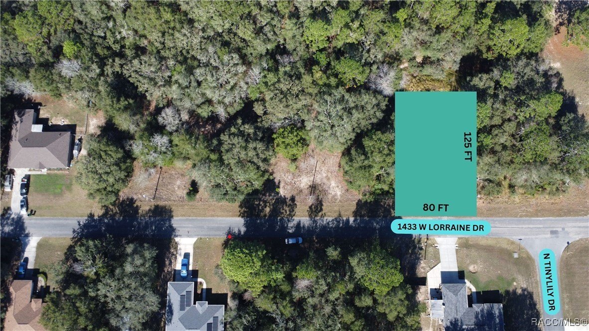 Citrus Springs Land For Sale