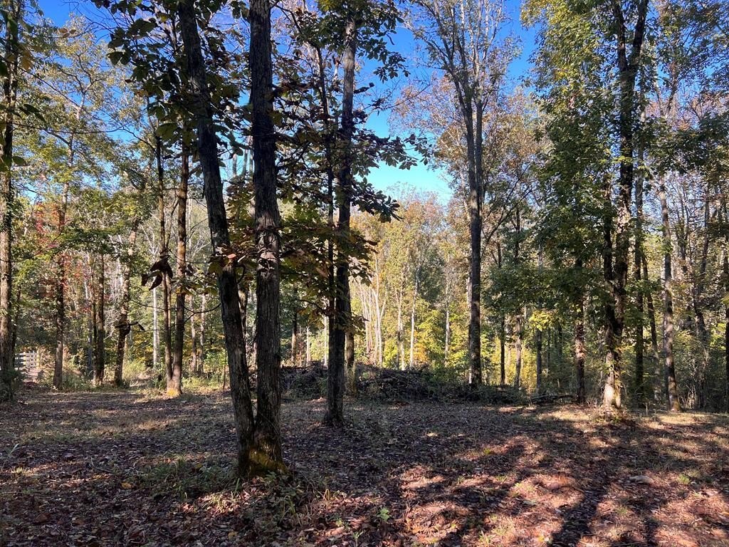 Lake Lot in Smithville, TN
