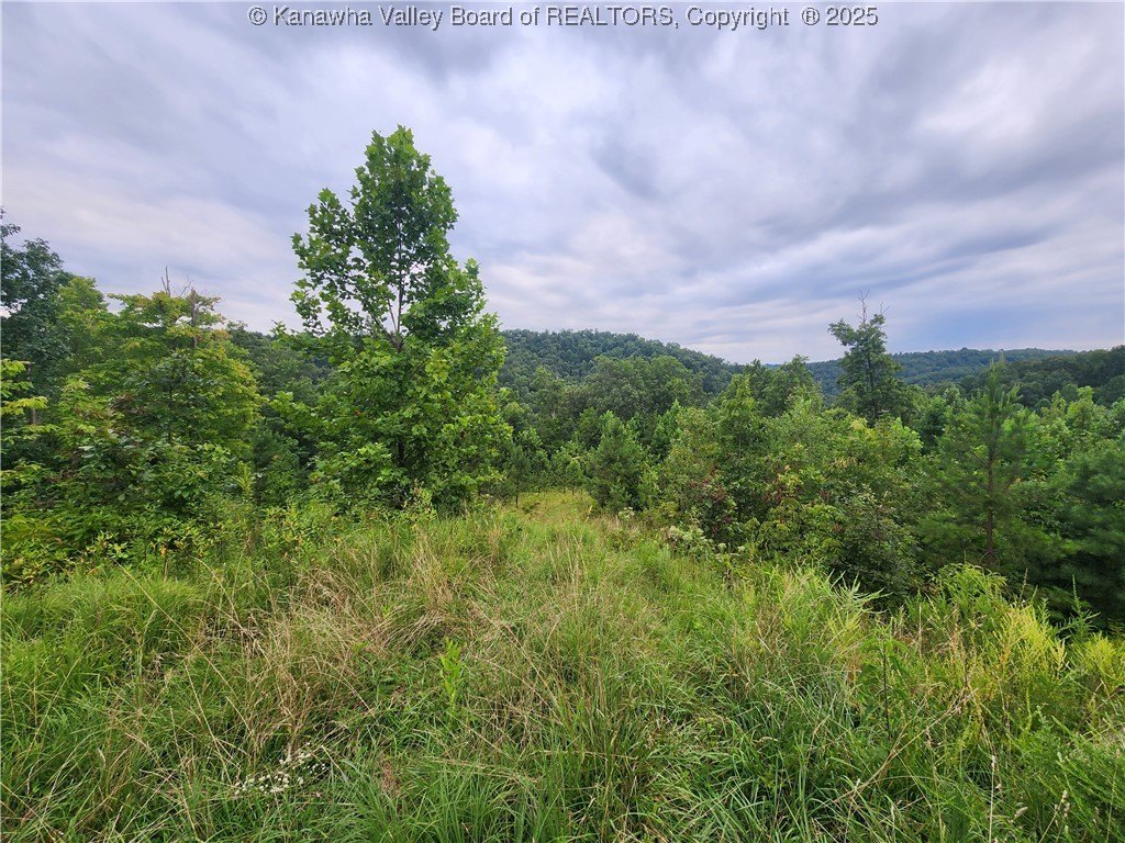 South Charleston Land with Views