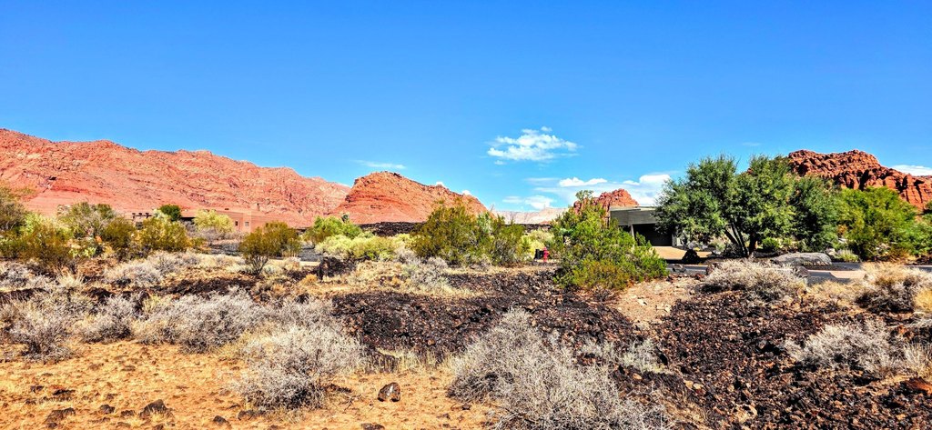 Picture 4