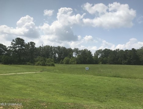 Ridgeland Land Parcel For Sale