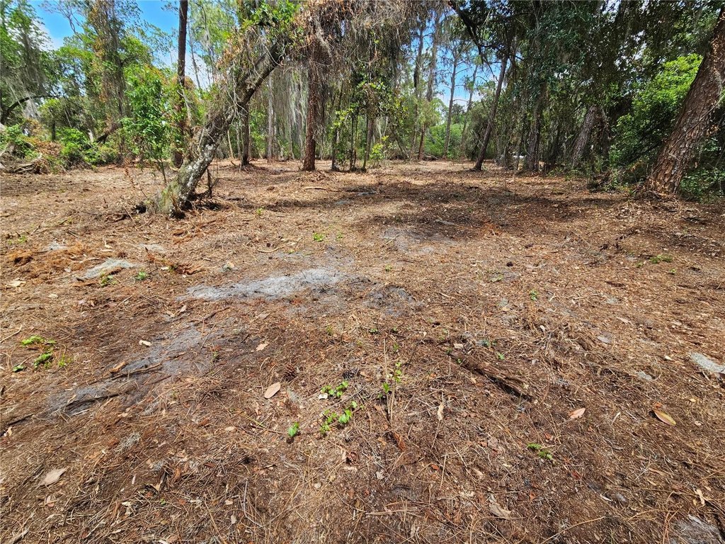 Picture 20
