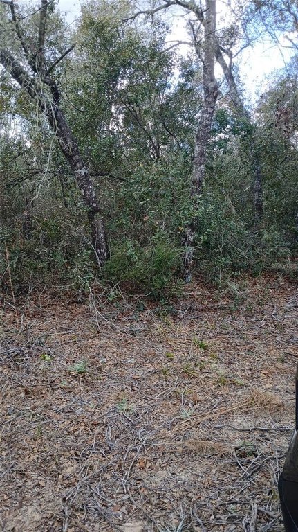 Picture 5