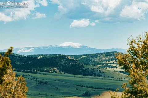 Colorado Ranch Bordering National Forest