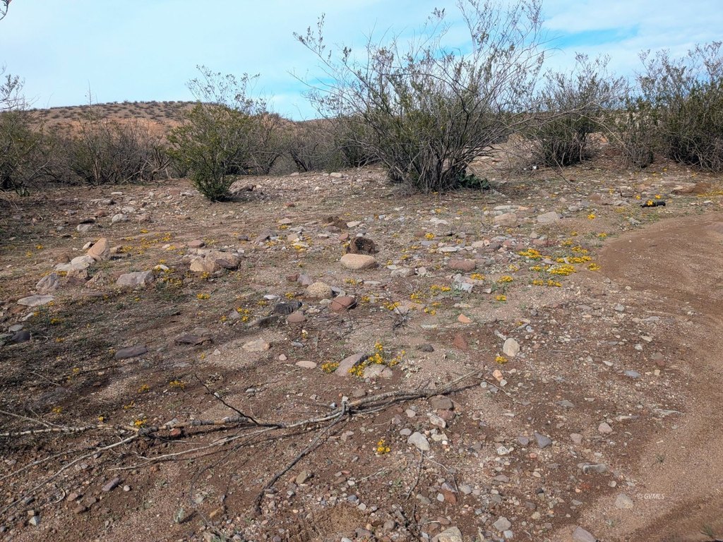 Picture 19