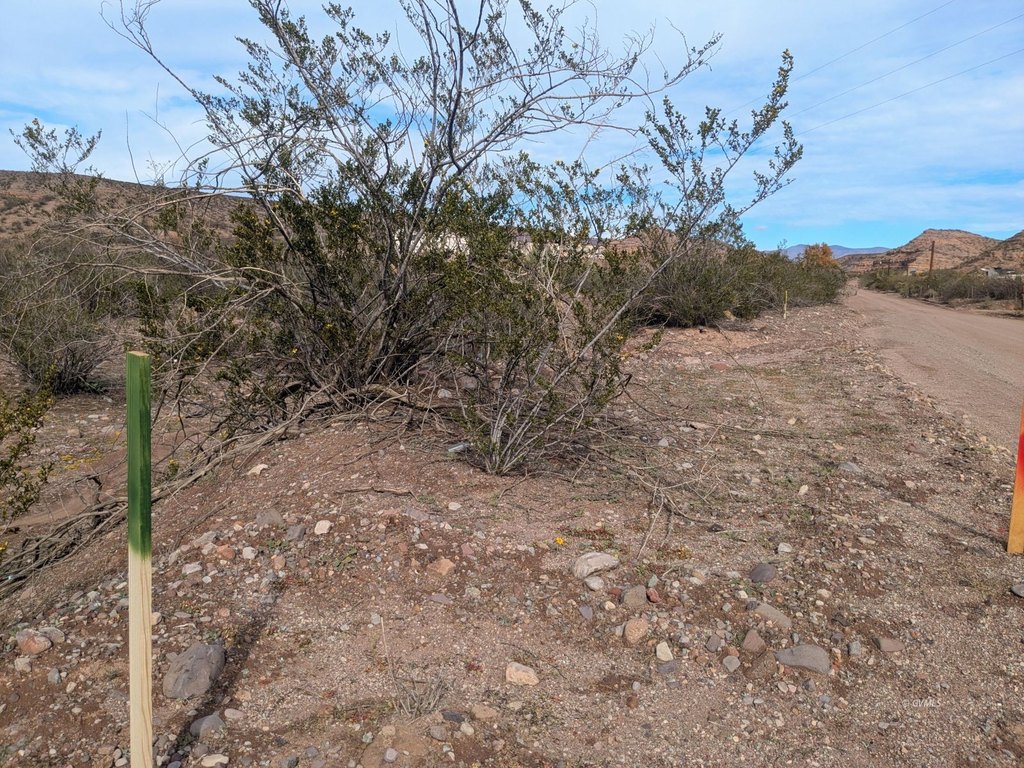 Picture 20