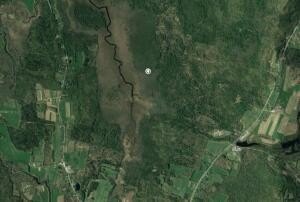 Maine Woods Land For Sale