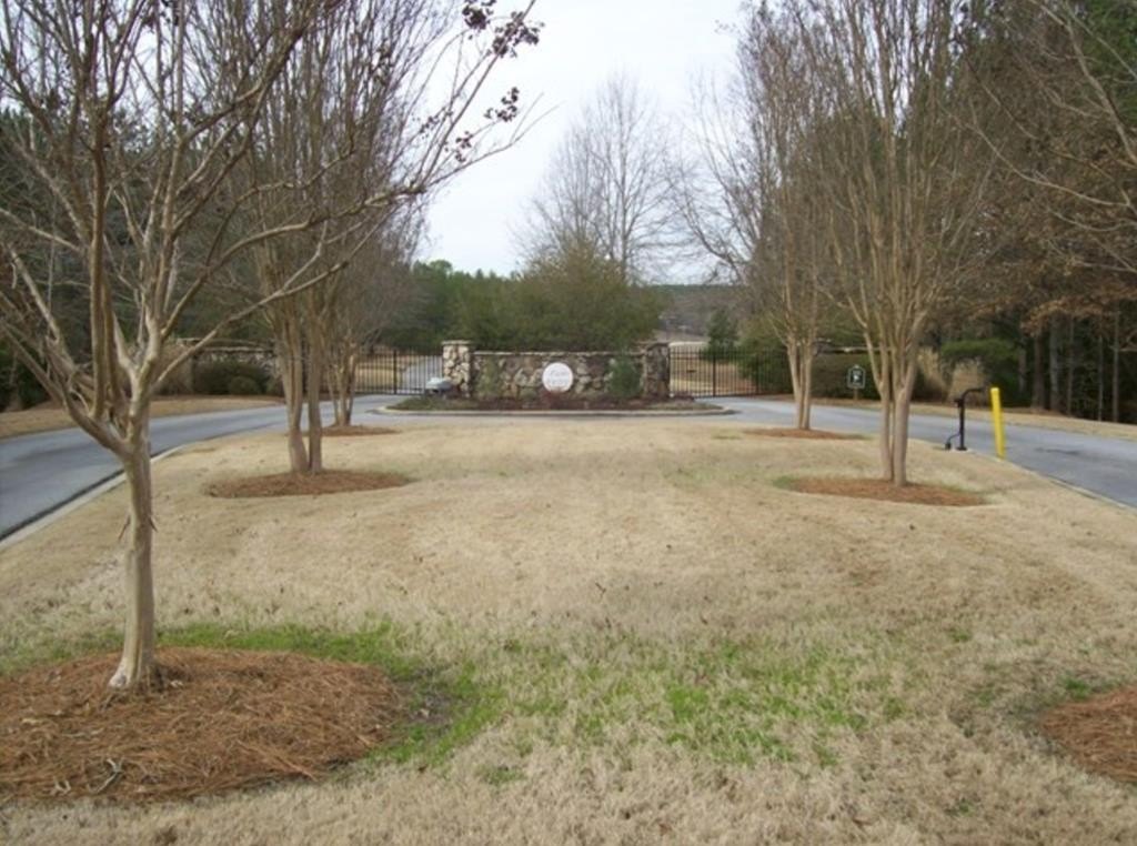 Picture 19