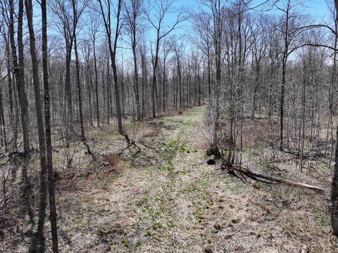 Timberland with Managed Forest Program