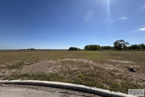 Residential Land in La Feria, TX