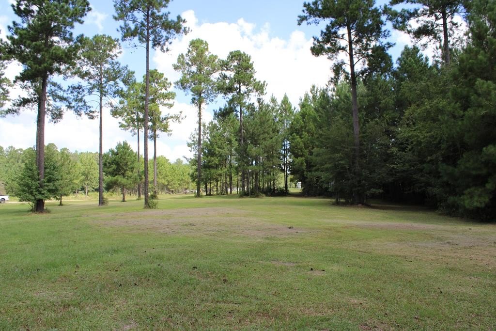 Land in Fitzgerald, Georgia