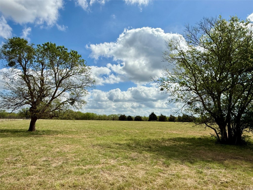 Picture 29